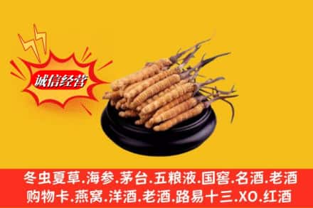 息县名酒回收冬虫夏草.jpg